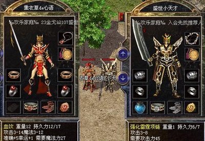 纵横传奇世界，感受荣耀与挑战